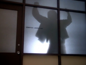 Incredible Hulk Life and Death Genetics Lab